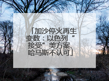 加沙停火再生变数：以色列“接受”美方案、哈马斯不认可