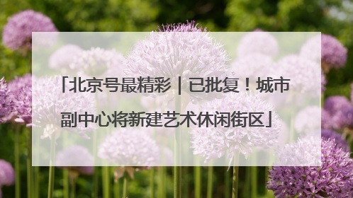 北京号最精彩｜已批复！城市副中心将新建艺术休闲街区
