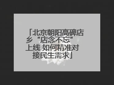 北京朝阳高碑店乡“店念不忘” 上线 如何精准对接民生需求