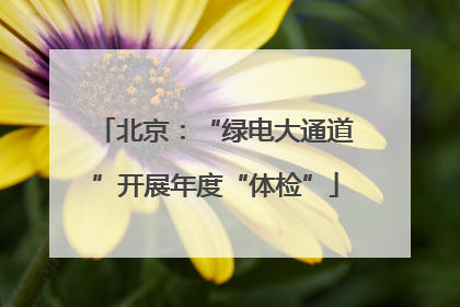北京：“绿电大通道”开展年度“体检”