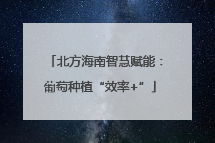 北方海南智慧赋能：葡萄种植“效率+”