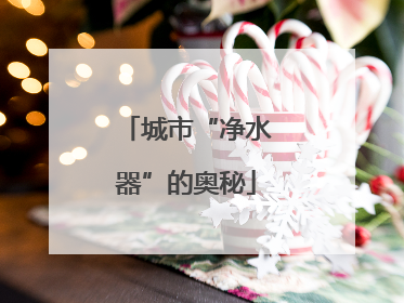 城市“净水器”的奥秘