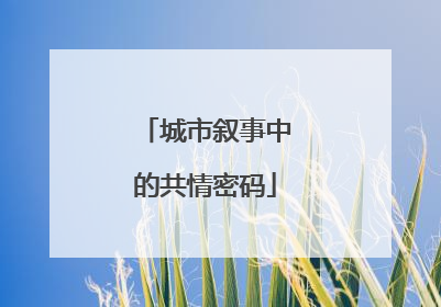 城市叙事中的共情密码