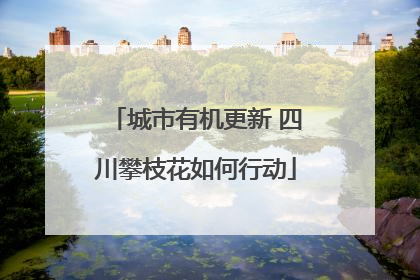 城市有机更新 四川攀枝花如何行动