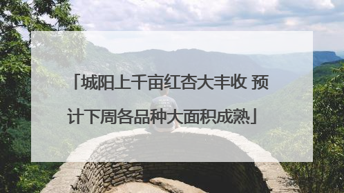 城阳上千亩红杏大丰收 预计下周各品种大面积成熟