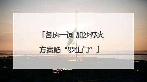 各执一词 加沙停火方案陷“罗生门”