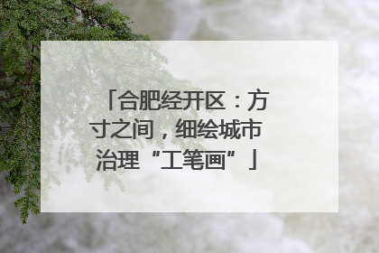 合肥经开区：方寸之间，细绘城市治理“工笔画”