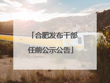 合肥发布干部任前公示公告