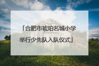 合肥市琥珀名城小学举行少先队入队仪式