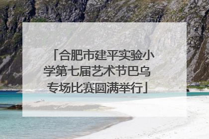 合肥市建平实验小学第七届艺术节巴乌专场比赛圆满举行