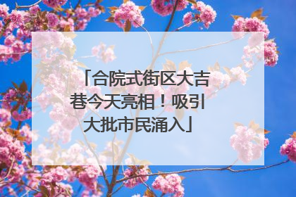 合院式街区大吉巷今天亮相！吸引大批市民涌入