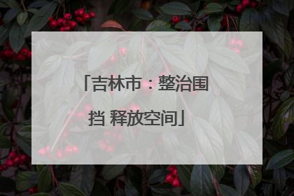 吉林市：整治围挡 释放空间