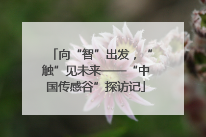 向“智”出发，“触”见未来——“中国传感谷”探访记