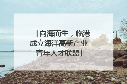 向海而生，临港成立海洋高新产业青年人才联盟