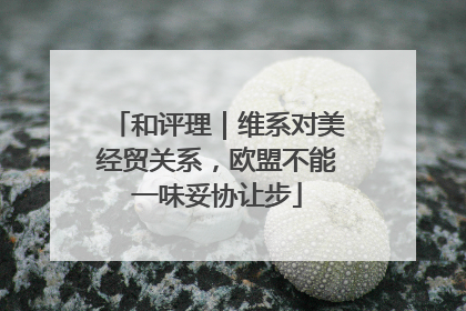 和评理｜维系对美经贸关系，欧盟不能一味妥协让步