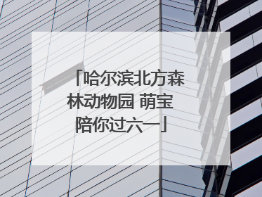 哈尔滨北方森林动物园 萌宝陪你过六一
