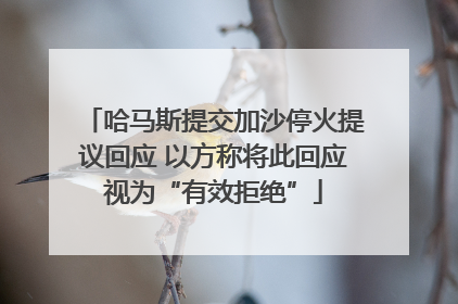 哈马斯提交加沙停火提议回应 以方称将此回应视为“有效拒绝”