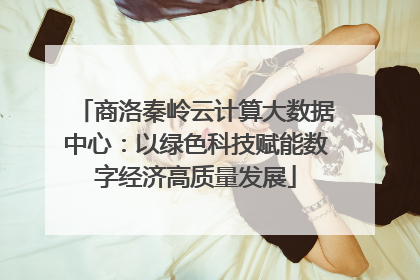 商洛秦岭云计算大数据中心：以绿色科技赋能数字经济高质量发展