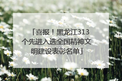 喜报！黑龙江313个先进入选全国精神文明建设表彰名单