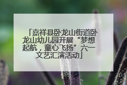 嘉祥县卧龙山街道卧龙山幼儿园开展“梦想起航，童心飞扬”六一文艺汇演活动
