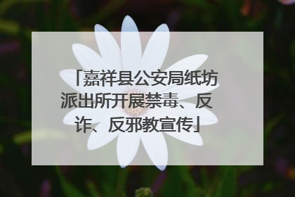 嘉祥县公安局纸坊派出所开展禁毒、反诈、反邪教宣传