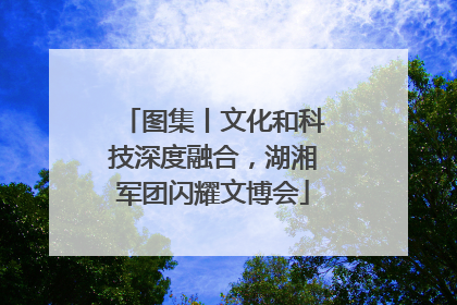 图集丨文化和科技深度融合，湖湘军团闪耀文博会