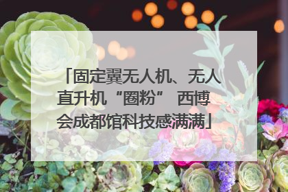 固定翼无人机、无人直升机“圈粉” 西博会成都馆科技感满满