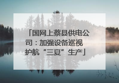 国网上蔡县供电公司：加强设备巡视 护航“三夏”生产