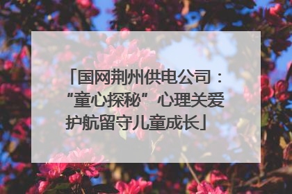 国网荆州供电公司：“童心探秘”心理关爱护航留守儿童成长