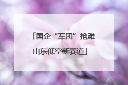 国企“军团”抢滩山东低空新赛道