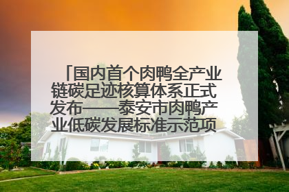 国内首个肉鸭全产业链碳足迹核算体系正式发布——泰安市肉鸭产业低碳发展标准示范项目顺利通过验收