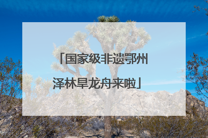 国家级非遗鄂州泽林旱龙舟来啦