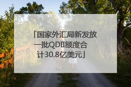 国家外汇局新发放一批QDII额度合计30.8亿美元