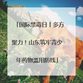 国际禁毒日丨多方聚力！山东筑牢青少年药物滥用防线