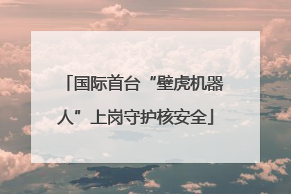 国际首台“壁虎机器人”上岗守护核安全