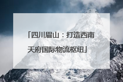 四川眉山：打造西南天府国际物流枢纽