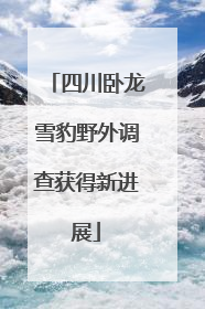 四川卧龙雪豹野外调查获得新进展