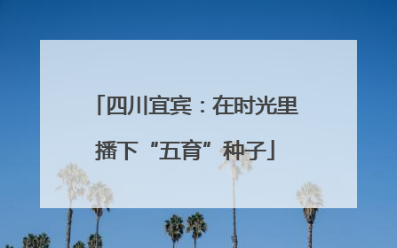 四川宜宾：在时光里播下“五育”种子