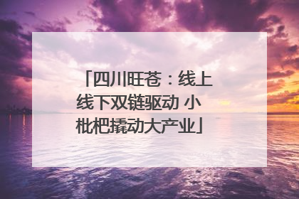 四川旺苍：线上线下双链驱动 小枇杷撬动大产业