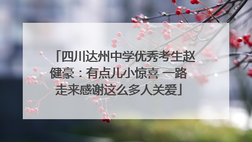 四川达州中学优秀考生赵健豪：有点儿小惊喜 一路走来感谢这么多人关爱