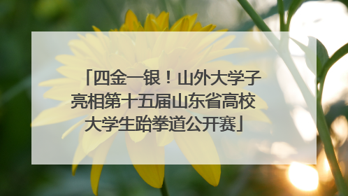 四金一银！山外大学子亮相第十五届山东省高校大学生跆拳道公开赛