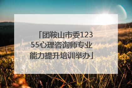 团鞍山市委12355心理咨询师专业能力提升培训举办