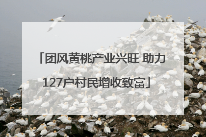 团风黄桃产业兴旺 助力127户村民增收致富