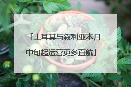 土耳其与叙利亚本月中旬起运营更多直航