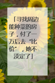 寻找周边能种菜的房子，付了一万后去“比价”，她不淡定了