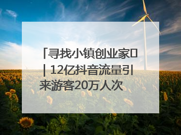 寻找小镇创业家㊱｜12亿抖音流量引来游客20万人次 “襄阳许三多”爆改家乡打造网红村