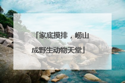 家底摸排，崂山成野生动物天堂