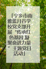 宁乡市南雅蓝月谷学校党支部开展“传承红色基因 凝聚奋进力量”主题党日活动