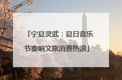 宁夏灵武：夏日音乐节奏响文旅消费热浪