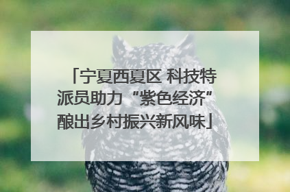宁夏西夏区 科技特派员助力“紫色经济”酿出乡村振兴新风味